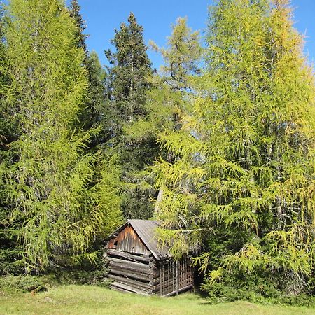 Pepis Ferienwohnungen Inklusive Sommercard Jerzens Eksteriør billede